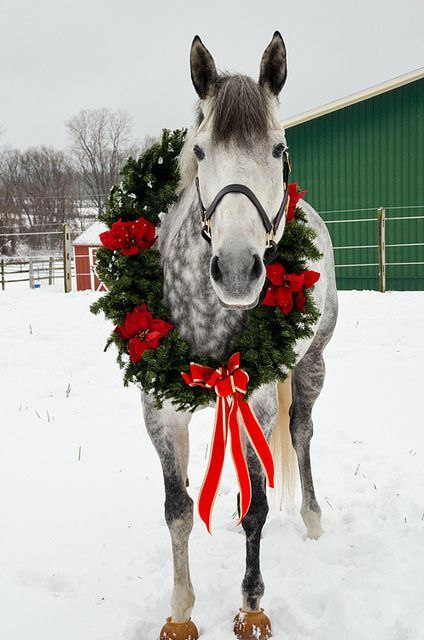 Classic Budweiser Clydesdale Christmas Advert From 1987